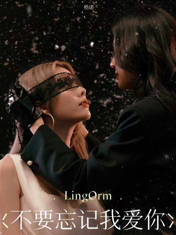 不要忘记我爱你LingOrm